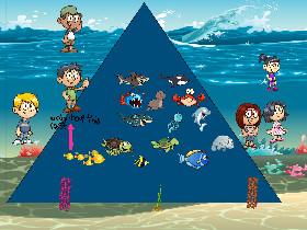 Ecological Pyramid 1 1