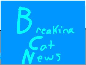 BREAKING CAT NEWS 1