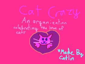 Cat Crazy 1