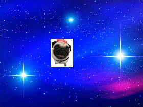 Pugs in space yay
