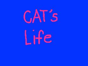 Cat’s Life version 1