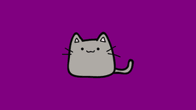 Picture of   a  cat