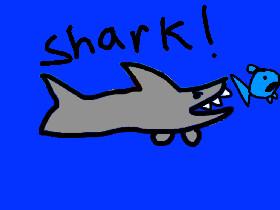 Shark!yeet