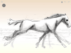Horse Run Art Animation