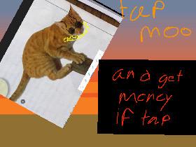tap the meme cat