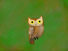 Owl speed Draw  1