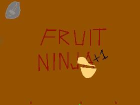 fruit ninja  1
