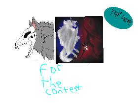 for the drawing contest