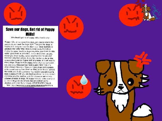 Puppy Mill awerness | by joyfull puppy