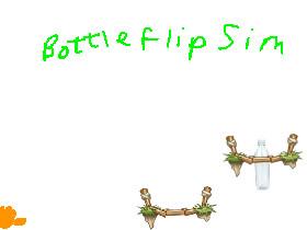 Bottle flip sim! 1