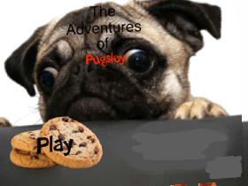 Adventures of Pugsley update