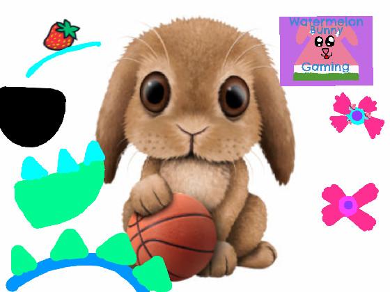 Dress up bunny basketball