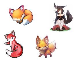 Cute Fox drawings! 1
