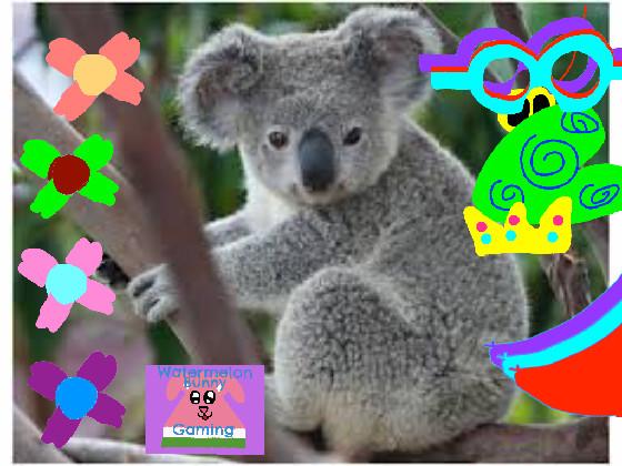 koala dress up upgraded