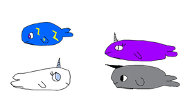 The narwhal family part 1!