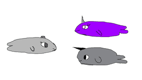 Narwhale family part 3