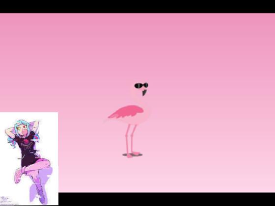Sunglasses Flamingo Meme/GLM