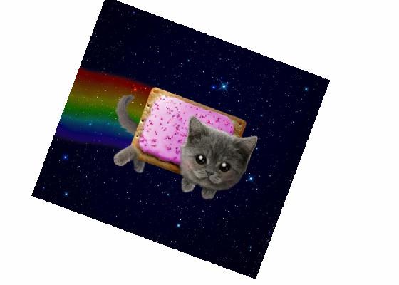 Nyan cat in real life!! (better) 1
