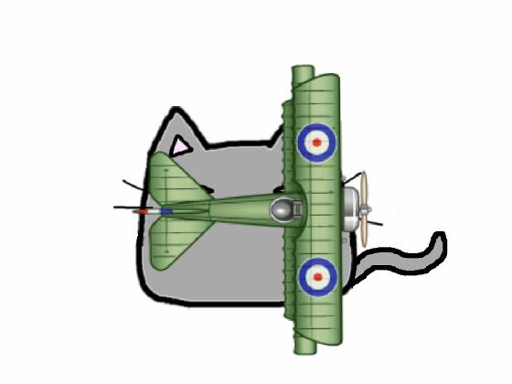 plane cat 1