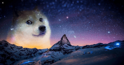 music with doge
