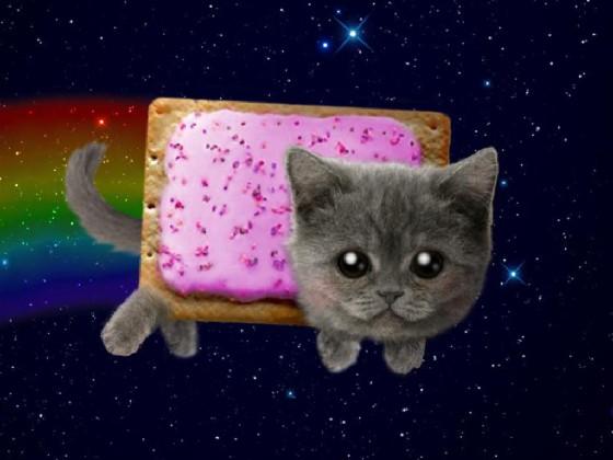 Nyan cat in real life!! (better) 1 1