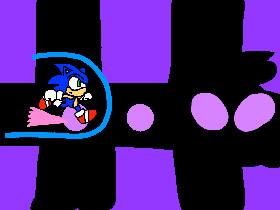 Sonic Dash: Stage 4 Null Space