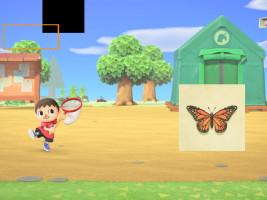 Animal Crossing gotta cacth them butterflys