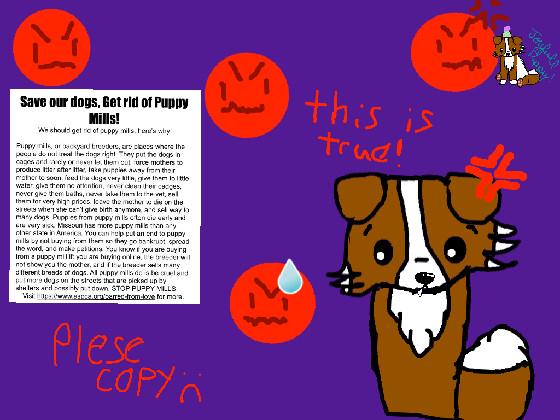 Puppy Mill awerness  - copy - copy 1