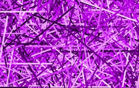 Purple spider webs