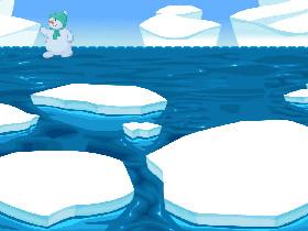 Penguin iceland