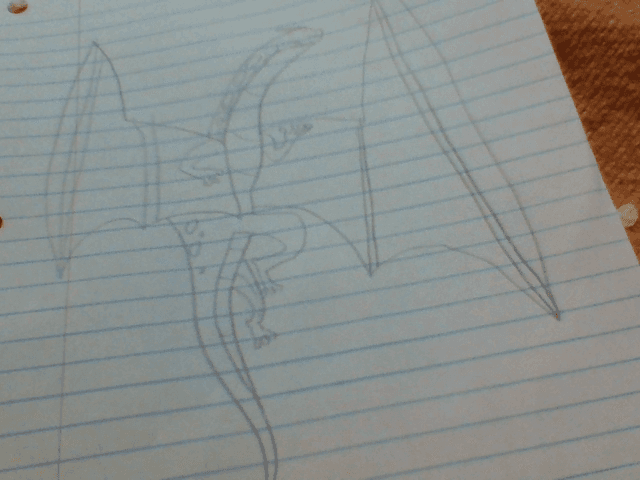 My Wings of fire drawing contest :)