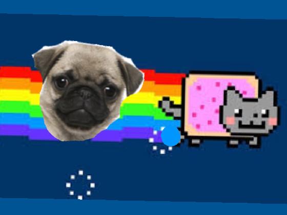 nyan pug!! 1