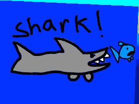 SHARK Code AUSIN 1