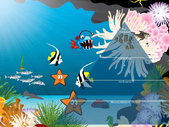 Ocean Ecological Pyramid 1 6