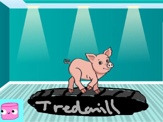 Pig on tredmill