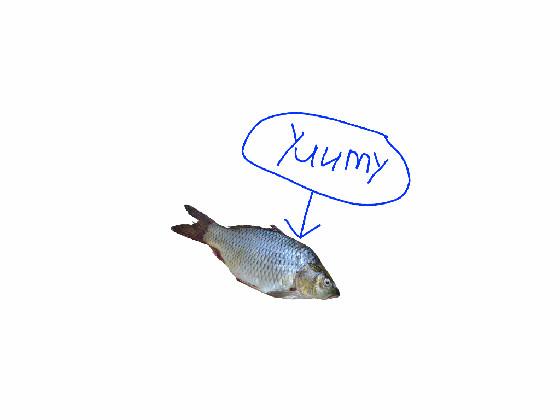 Fish Spin Draw 1 1