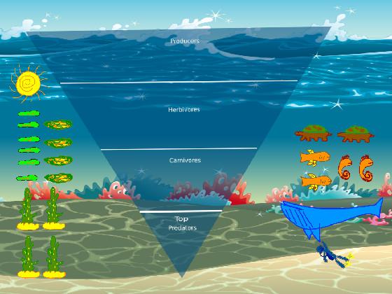 Ocean Ecological Pyramid 2