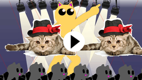 best and also weirdest cat video in the universe (presented by Captain Cat studios)