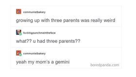 get it the gemini simble is  the twins