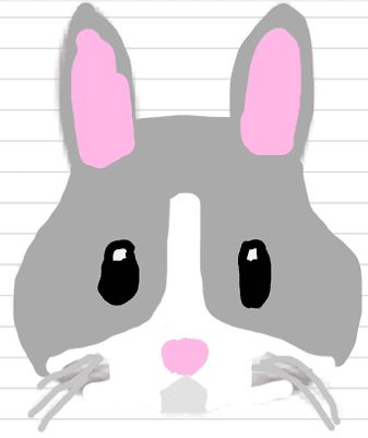 Bunny deluxe 1