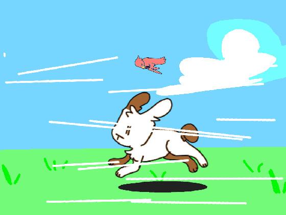 bunny rabbit running