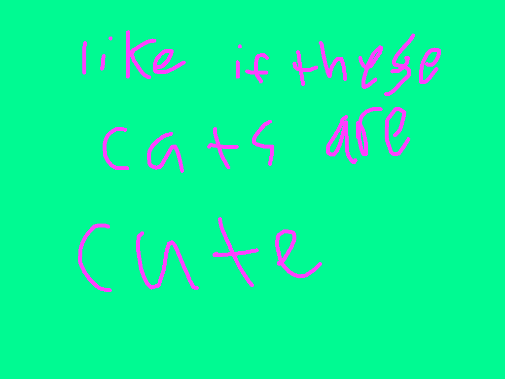  cat slide show (like If you think these cats are cute)