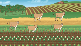 COW LAND