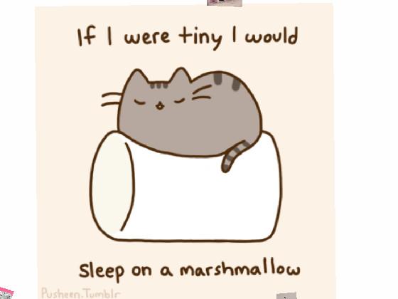 find the cat in the cute marshmellows 1