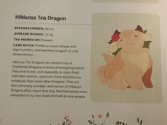Hibiscus tea dragon info