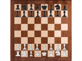 2-PLAYER Chess (upgraded)