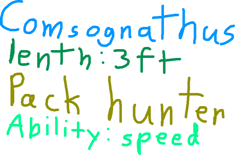 dino show 1 comsognathus