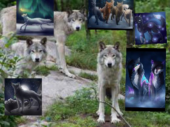 for wolf lovers by val