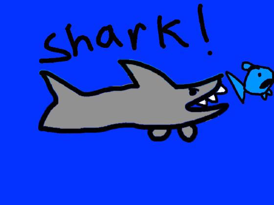 Shark! 1 5