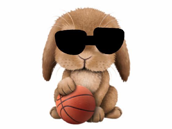 bunny basketball  